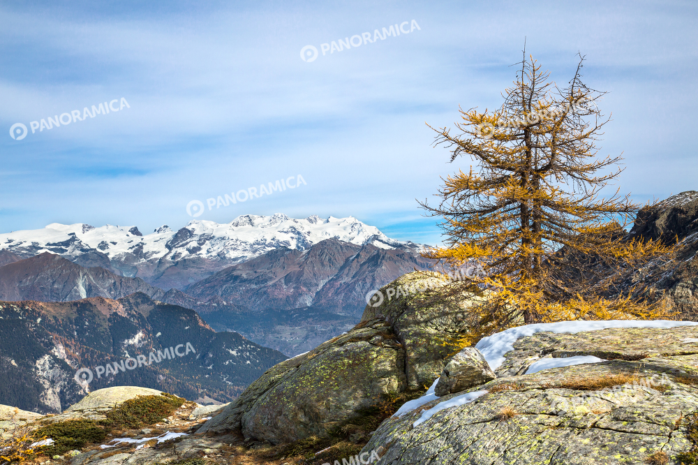 Vista sul Massiccio del Monte Rosa dai pressi del Rifugio Barbus